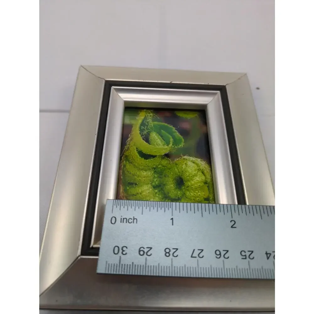 Original Fiddlehead Fern Macro Photo 4x6 Silver Tone Frame Botanical Art